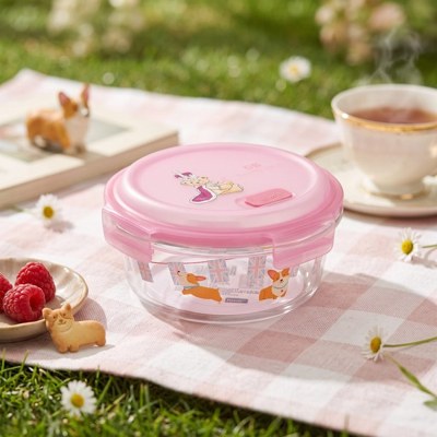 Borosilicate Glass Food Container